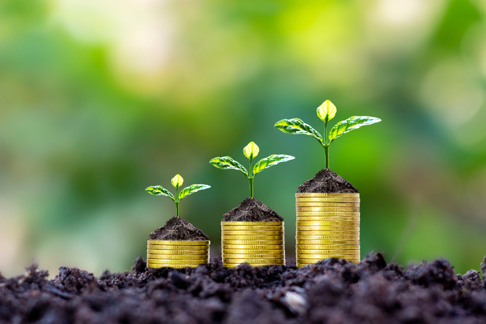Money growing slowly like a seed